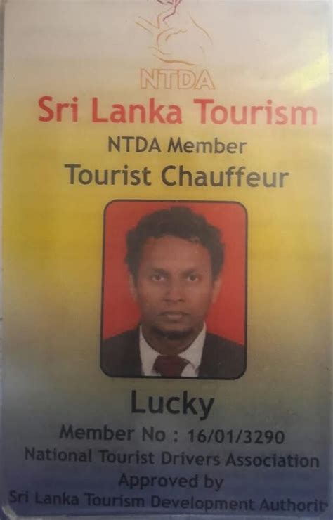 Tourist Chauffeur Lucky