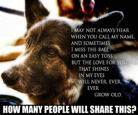 Please Share Dog Quotes Dog Love Old Dogs