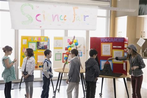 How To Survive The School Science Fair Wsj