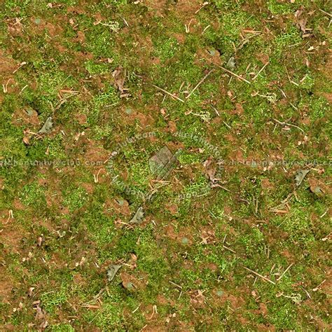 Grass Textures Seamless Textures Plant Texture My Xxx Hot Girl