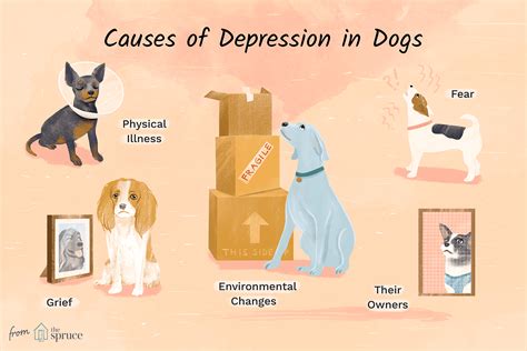 Do Dogs Get Depression How To Help Your Sad Dog