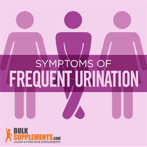 Frequent Urination Symptoms Causes Treatment