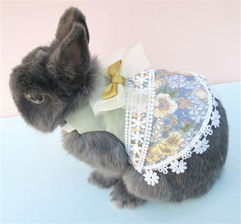 Spring Collection Pet Bunny Dressharness Rabbit Clothing Etsy
