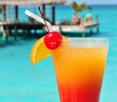 Sex on the Beach Cocktail Recipe Find more recipes