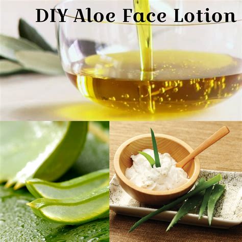 Easy Diy Recipe To Make Aloe Vera Natural Face Lotion Try It And You