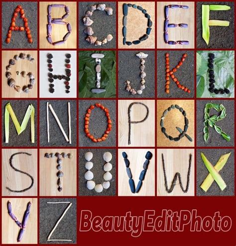 Letters In Nature Classroom Alphabet Nature Alphabet Letter Etsy In