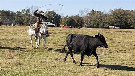 The Cowboy Way Alabama Tv Series 20162020 Episode List Imdb