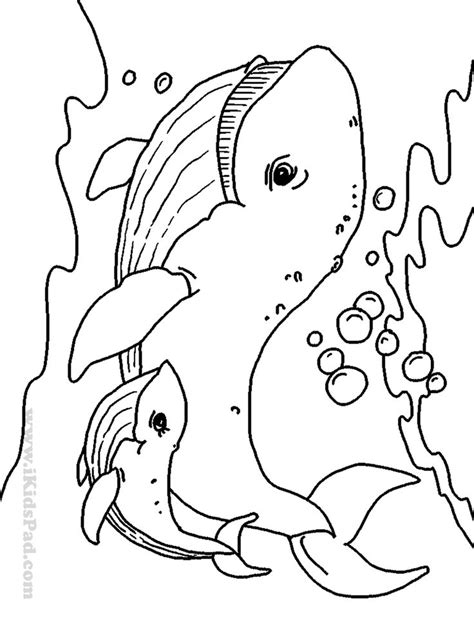 Sea Creatures Coloring Pages Ba Sea Creatures Coloring