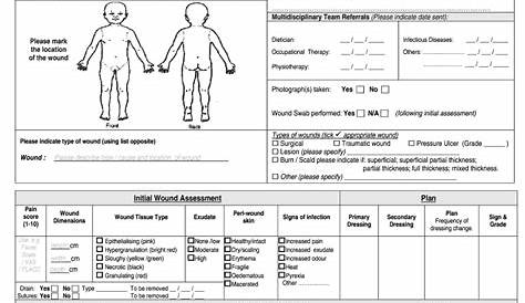 Wound assessment form: Fill out & sign online | DocHub