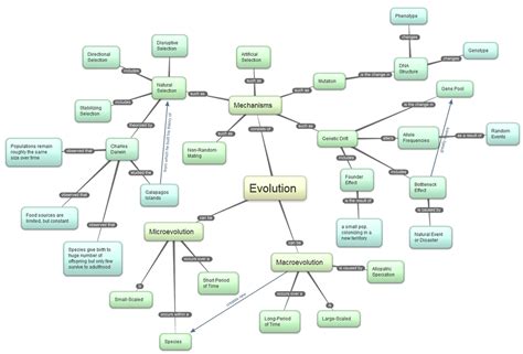 Theory Of Evolution Concept Map Map