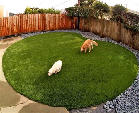 The grass absorbs much of the smell that an artificial grass patch wouldn't, which means you can go longer in between changes. Artificial or Synthetic Grass for Dog Run Areas