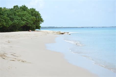 Rainbow Beach Frederiksted Us Virgin Islands Top Tips Before You