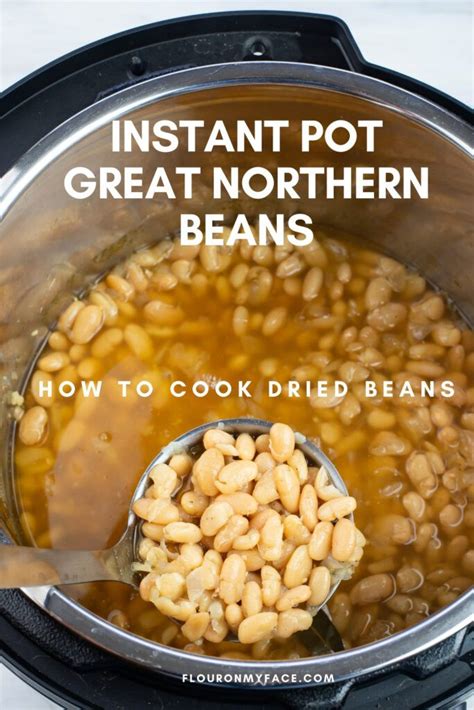 Great Northern Beans Crock Pot Recipe Crock Pot Ham And Bean Soup Fonewall