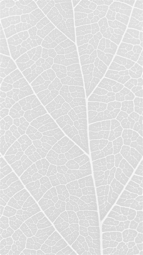 Pattern Vein Gray Wallpapersc Iphone6splus