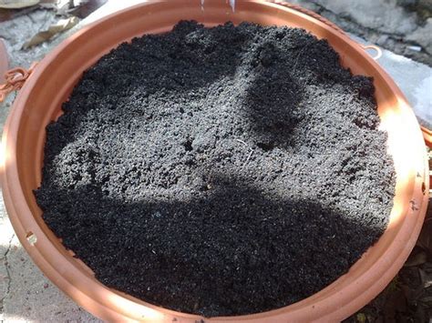 Do you want to learn how to make gardening profitable? Make Your Own Potting Soil and Growing Mix - Gardening Channel