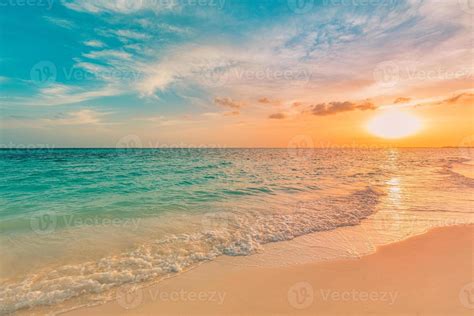 Sea Ocean Beach Sunset Sunrise Landscape Outdoor Water Wave With White