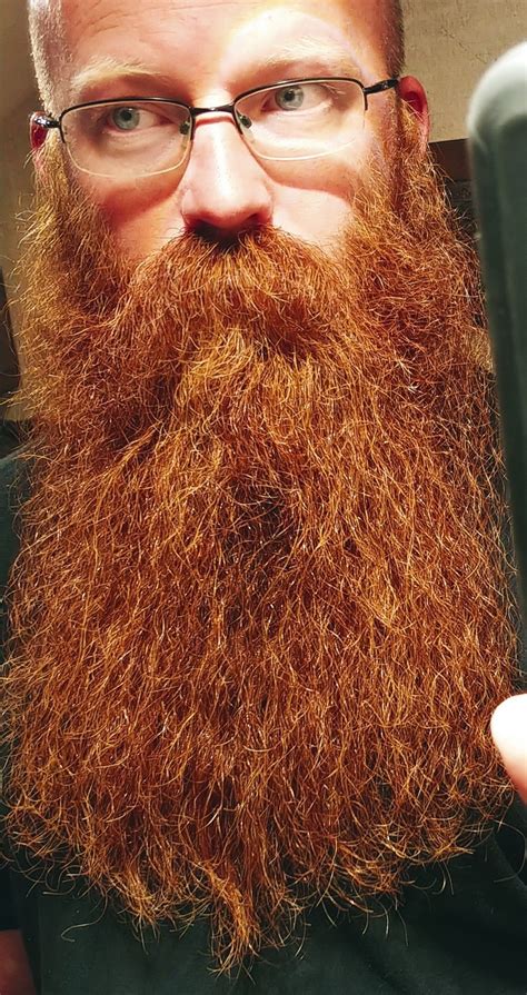 Your Daily Dose Of Great Beards ️ Red Beard