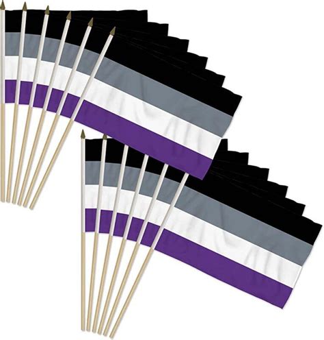 12 Pack Rainbow Asexual Pride Stick Flag 12x18 In