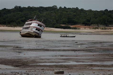 Amazonas Tem 60 Municípios Em Situação De Emergência Por Causa De Seca Histórica O Tempo