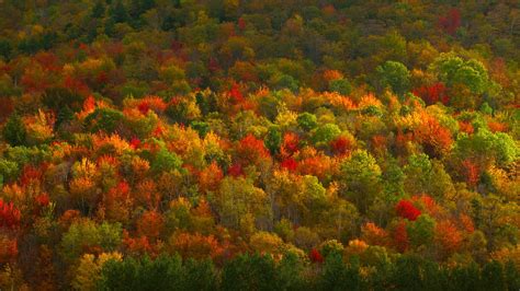 Fall Foliage In Hudson Valley New York © Corbis Video 2015 10 08