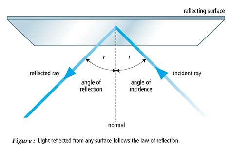 Reflection Diagram Labelled Diagram Gambaran