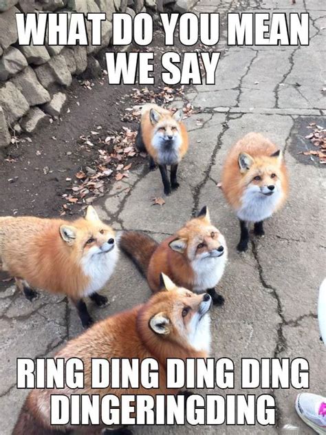 What Does The Fox Say Justpost Virtually Entertaining
