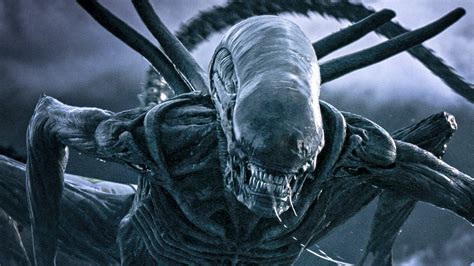 The story is about the crew of a colony ship heading for a remote planet, which looks so perfect that a threat is impossible to spot immediately. Ranking the Alien Franchise: 'Alien Covenant' Ranks #4 ...