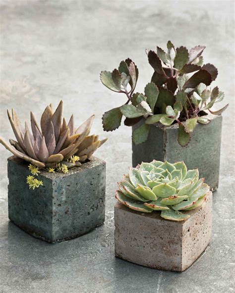 Decorative Flowerpots And Planters Martha Stewart