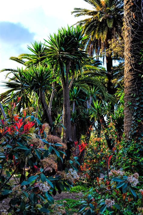 Der im jahr 1999 eröffnete jardí botànic de. Botanischer Garten In Barcelona Spanien Stockfoto - Bild ...