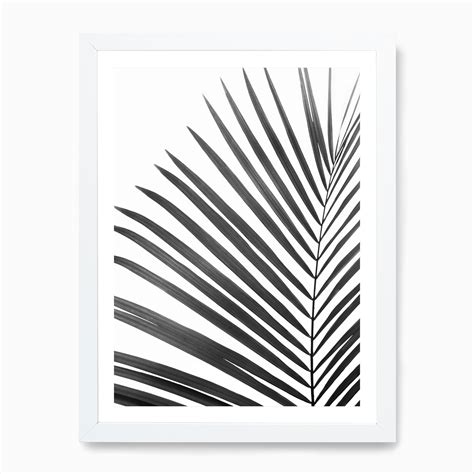 Palm Leaf Black Art Print By Sisi And Seb Fy