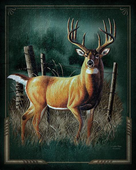 Deer Posters