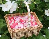 Petals For Flower Girls Baskets Pictures