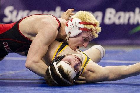 Breakdown Of District 3 Wrestling Qualifiers For The Piaa Class Aa