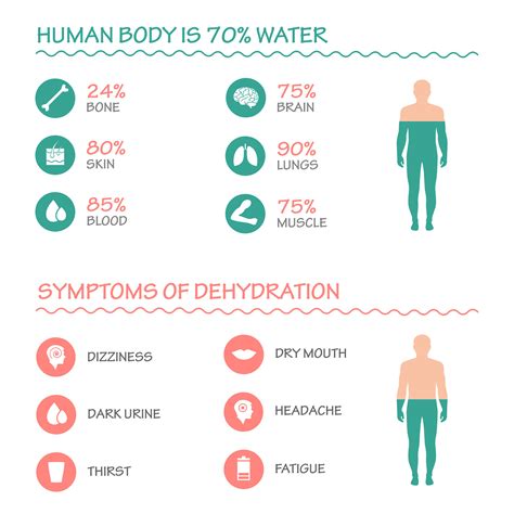 How Much Water Should You Drink Per Day Great Water Filters Australia