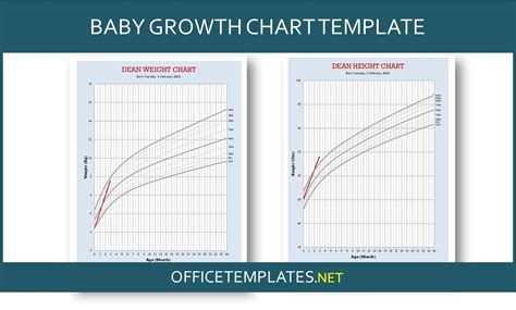 Fetal Growth Chart By Month