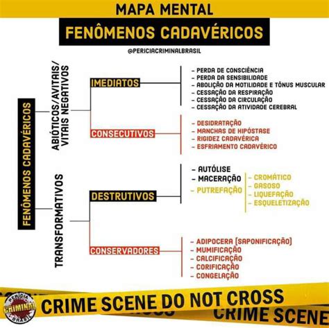 áreas Da Perícia Criminal