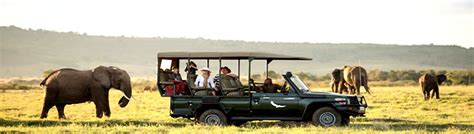 Book Safari Package Luxury Kenya Safaris In Kenya Kenya Safari
