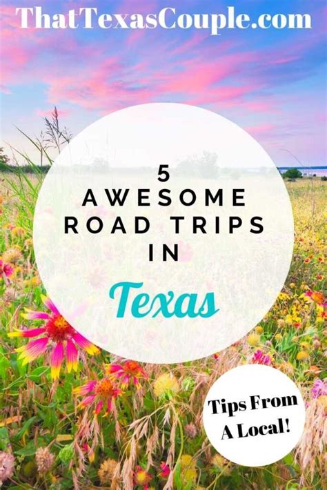 5 Awesome Road Trips In Texas To Take Now Road Trip Fun Road Trip