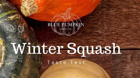 Winter Squash Taste Test Youtube