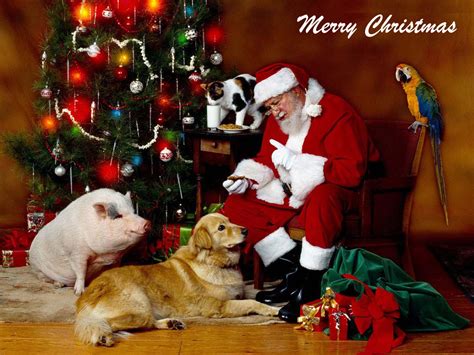 Free Download Christmas Santa And Animals Wallpaper Friends In Need