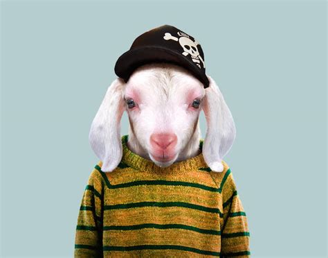 Super Cute Animals Dressed As Humans Portraits By Yago Partal