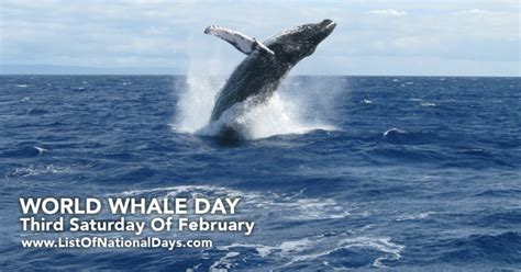 World Whale Day List Of National Days
