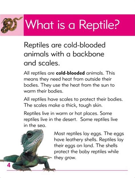 Go Facts Animals Reptiles Blake Education Educational