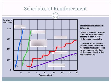 Schedules Of Reinforcement Graph Diagram Quizlet