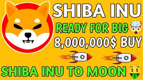 Shiba Inu Latest Updatewhales Big Entryshiba Hit Get Ready