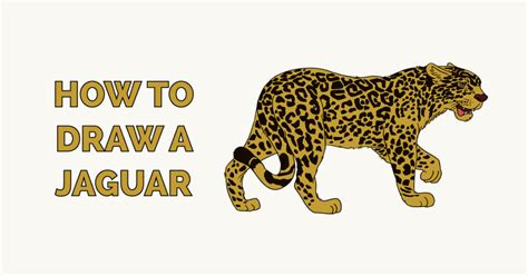 How To Draw A Jaguar The Animal Appearancetrain