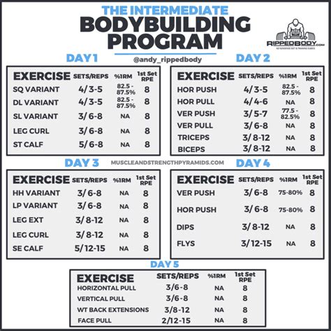 5 Day Split Workout Routine For Mass And Strength