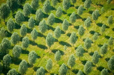 Aerial Photographs Of England By Jason Hawkes Aerial