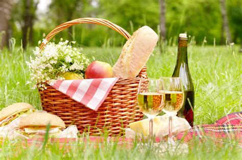 Picnic Wallpapers Top Free Picnic Backgrounds Wallpaperaccess