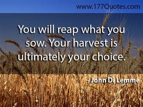 You Will Reap What You Sow Your Harvest Is Ultimately Your Choice